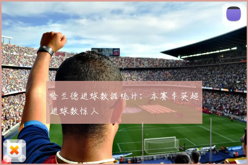哈兰德进球数据统计:本赛季英超进球数惊人